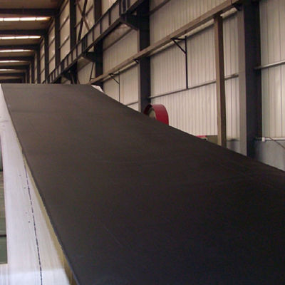 comprar Resistente de alta temperatura especial de las bandas transportadoras ST1000 online manufacture