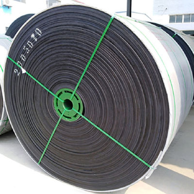 EP100 EP200 Bandas transportadoras especiales resistentes a productos químicos W700mm