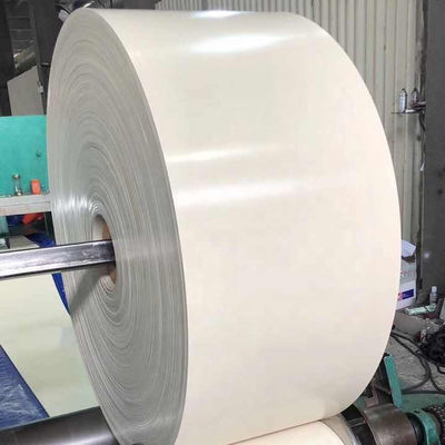 NN100 NN150 NN200 Cinturón transportador de caucho blanco con ancho de banda amplio para aplicaciones versátiles