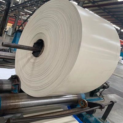NN200 blanco EP200 bandas transportadoras de goma de 3 capas